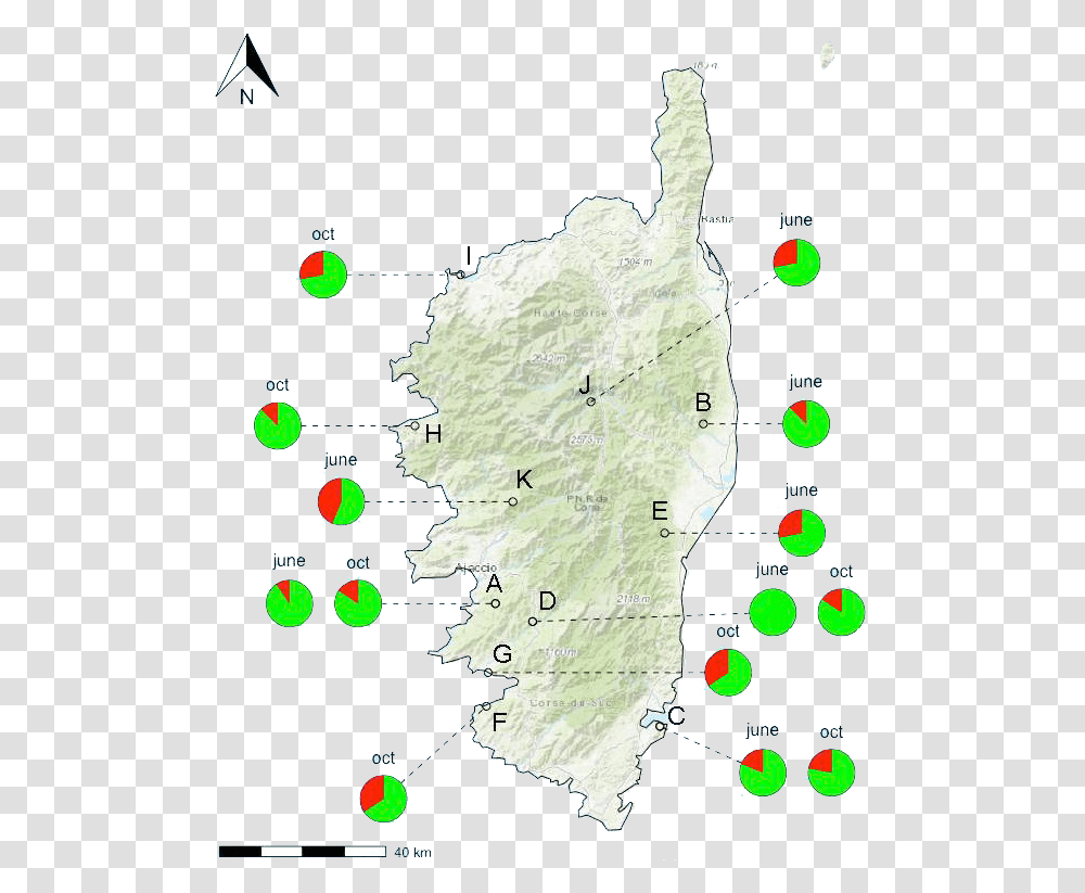 Map, Diagram, Plot, Atlas, Christmas Tree Transparent Png