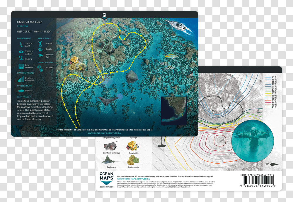 Map, Diagram, Plot, Atlas, Fish Transparent Png