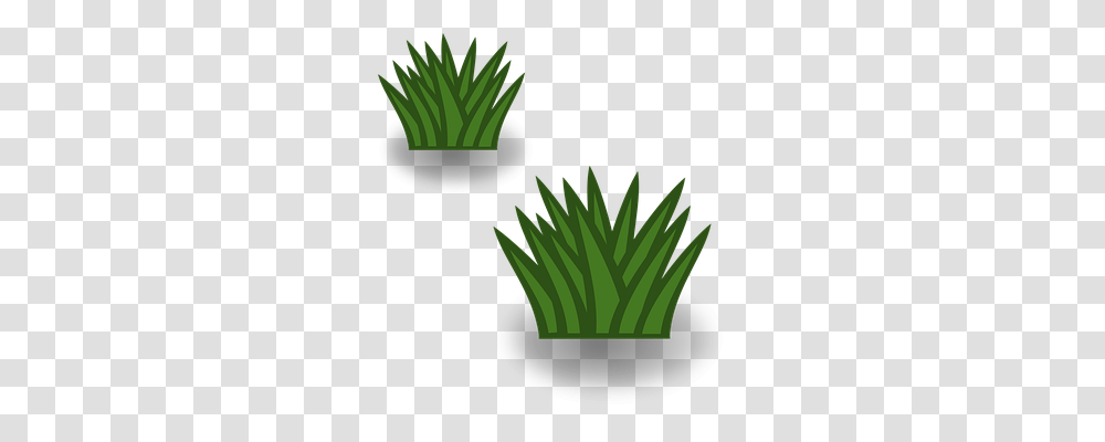 Map Icon Plant, Vegetation, Grass, Flower Transparent Png