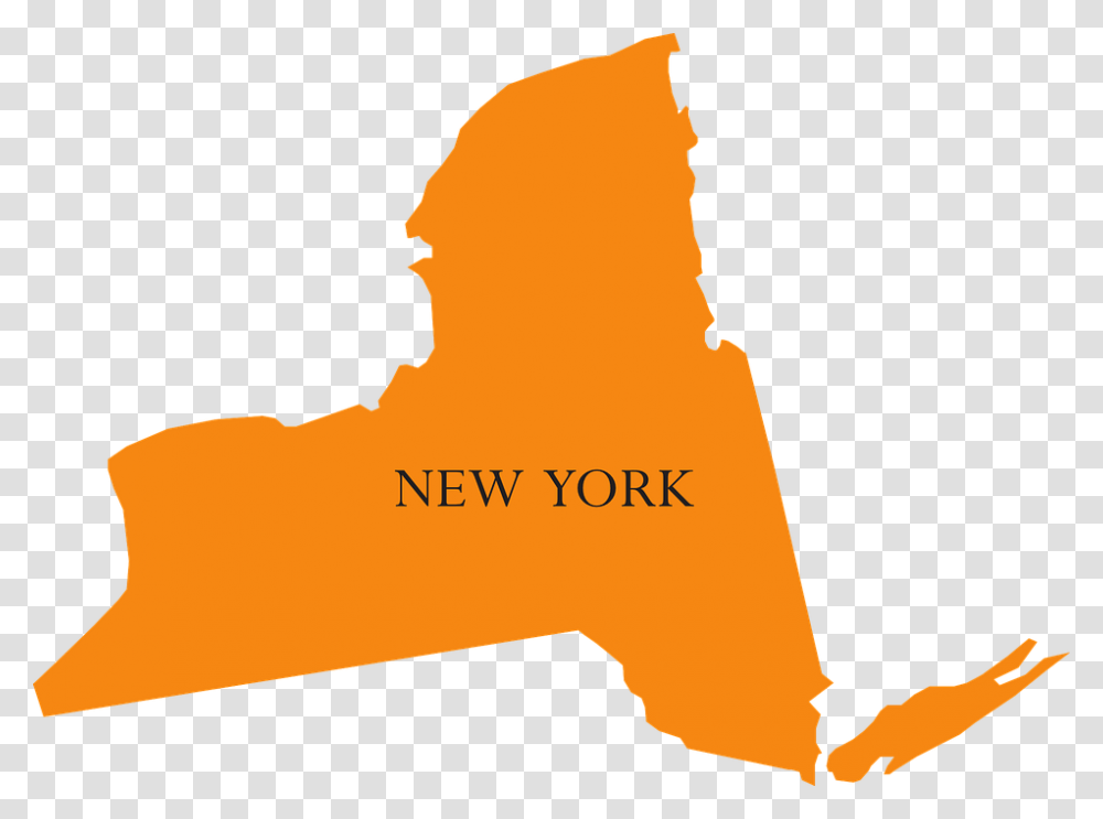Map New York State Geography United States, Plot, Person, Label Transparent Png