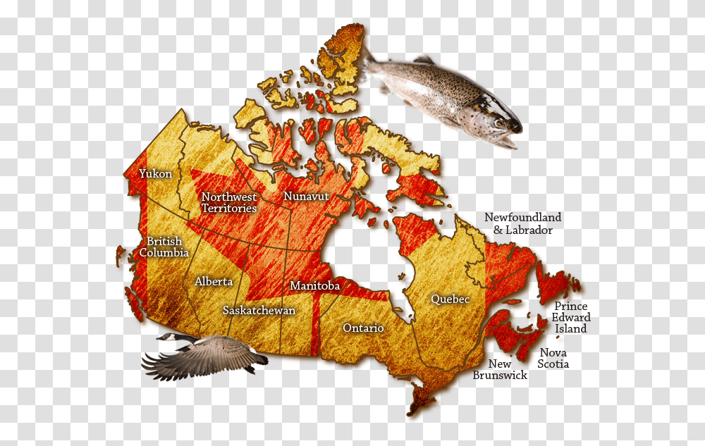 Map Of Canada Fishing Resources In Canada, Animal, Sea Life, Plot, Bird Transparent Png
