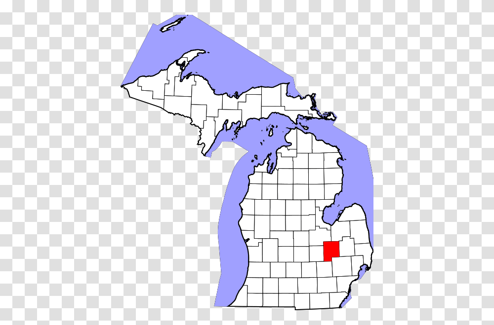 Map Of Michigan Highlighting Genesee County, Person, Human, Plot, Bird Transparent Png