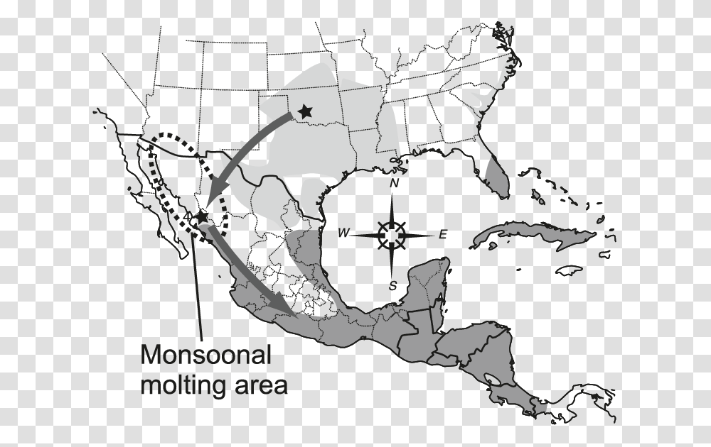 Map Of Southern United States And Mexico Showing Breeding Distribution Of Montezuma Bald Cypress, Diagram, Plot, Atlas Transparent Png