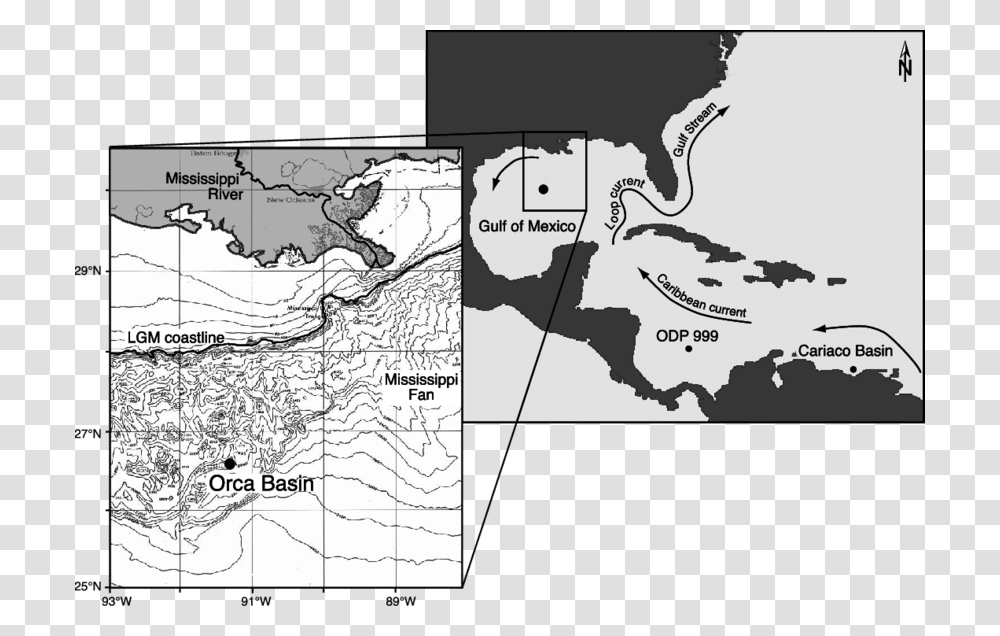 Map Of The Gulf Of Mexico Showing The Location Of Orca Earth Americas, Plot, Diagram, Atlas, Vegetation Transparent Png
