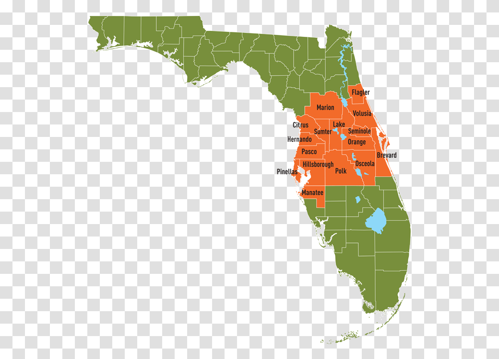 Map Palm Beach County Florida, Diagram, Atlas, Plot, Plant Transparent Png