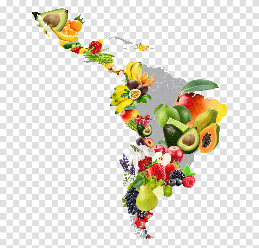 Mapa De Honduras Con Frutas, Plant, Fruit, Food Transparent Png