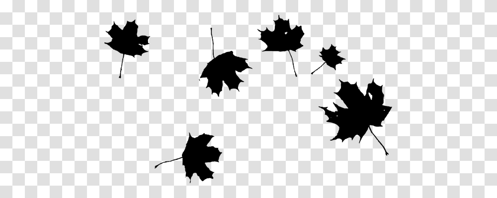 Maple Nature, Gray, World Of Warcraft Transparent Png