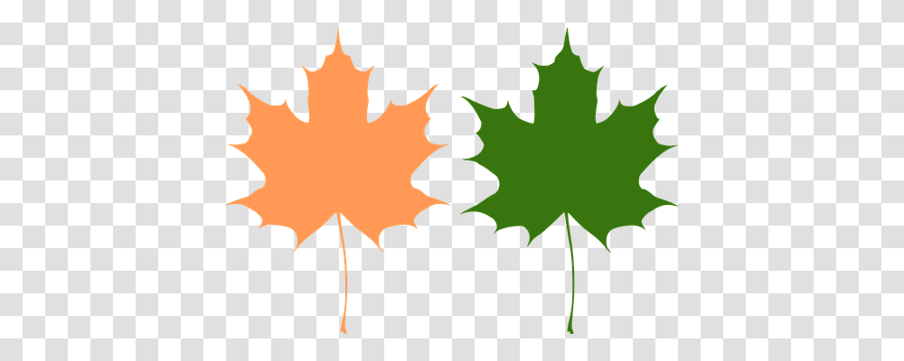 Maple Nature, Leaf, Plant, Tree Transparent Png