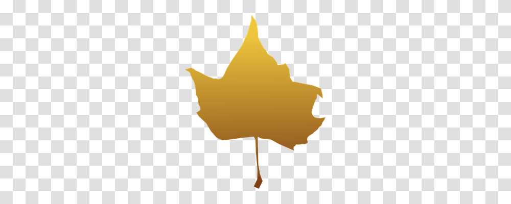 Maple Nature, Leaf, Plant, Fish Transparent Png