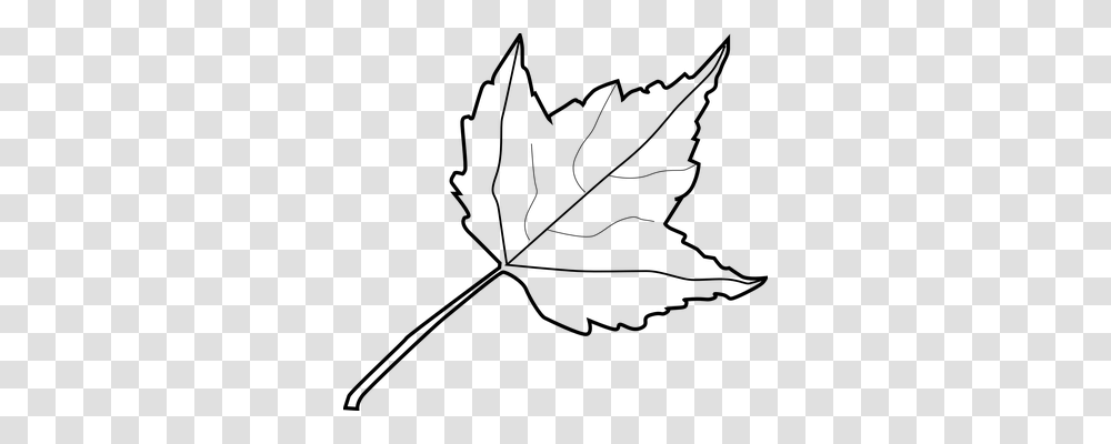 Maple Nature, Gray, World Of Warcraft Transparent Png