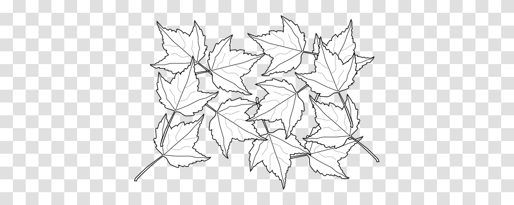 Maple Nature, Leaf, Plant, Tree Transparent Png