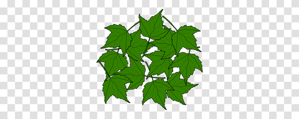 Maple Nature, Leaf, Plant, Tree Transparent Png