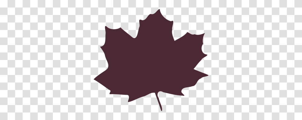 Maple Nature, Leaf, Plant, Maple Leaf Transparent Png