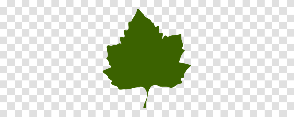 Maple Nature, Leaf, Plant, Tree Transparent Png