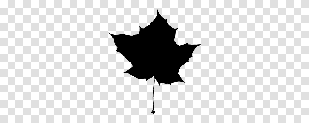 Maple Nature, Gray, World Of Warcraft Transparent Png