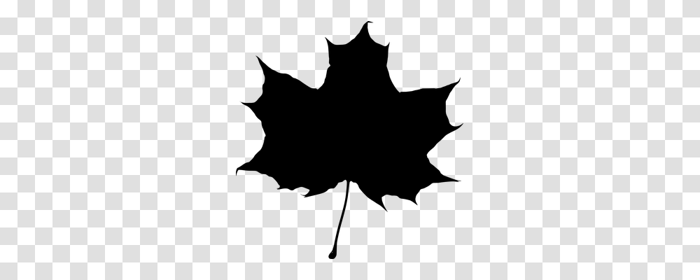 Maple Nature, Gray, World Of Warcraft Transparent Png