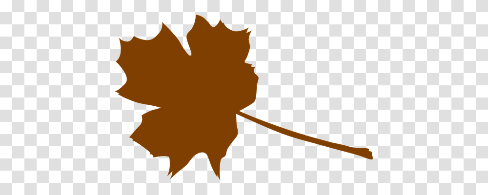 Maple Nature, Leaf, Plant, Tree Transparent Png