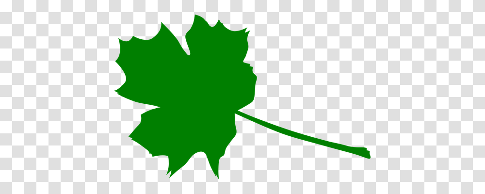 Maple Nature, Leaf, Plant, Maple Leaf Transparent Png