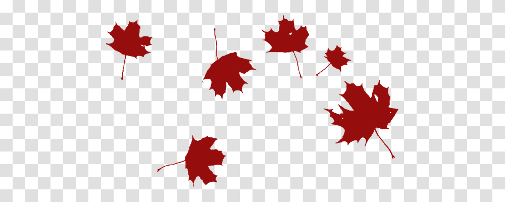 Maple Nature, Leaf, Plant, Tree Transparent Png