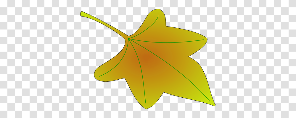 Maple Nature, Leaf, Plant, Tree Transparent Png