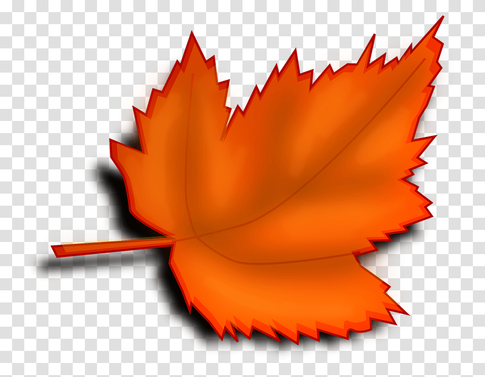 Maple Autumn Fall Leaf Orange Shades Maple Leaf, Plant, Pattern, Flower, Fractal Transparent Png