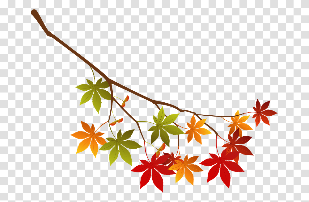 Maple Autumn Leaves Branch Clipart, Leaf, Plant, Tree, Maple Leaf Transparent Png