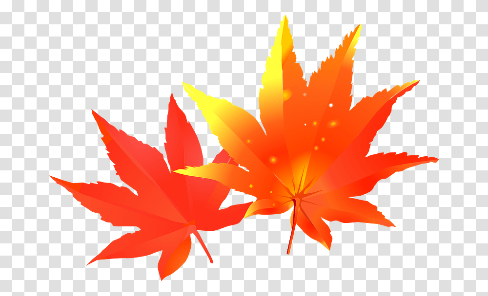 Maple Autumn Leaves Clipart Autumn Leaf Color, Plant, Tree, Maple Leaf Transparent Png