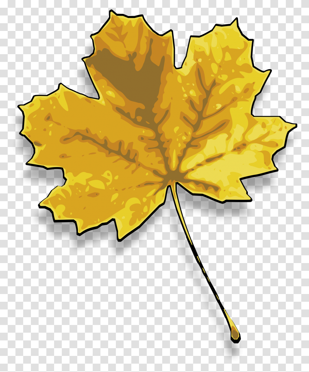 Maple Clipart Dry Leaf Dried Leaf Clip Art, Plant, Maple Leaf, Tree Transparent Png
