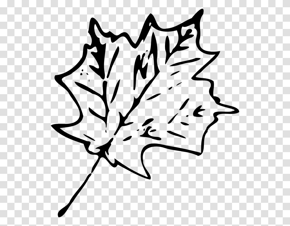 Maple Fall Leaf Foliage Leaf Clipart Black And White, Gray, World Of Warcraft, Halo Transparent Png