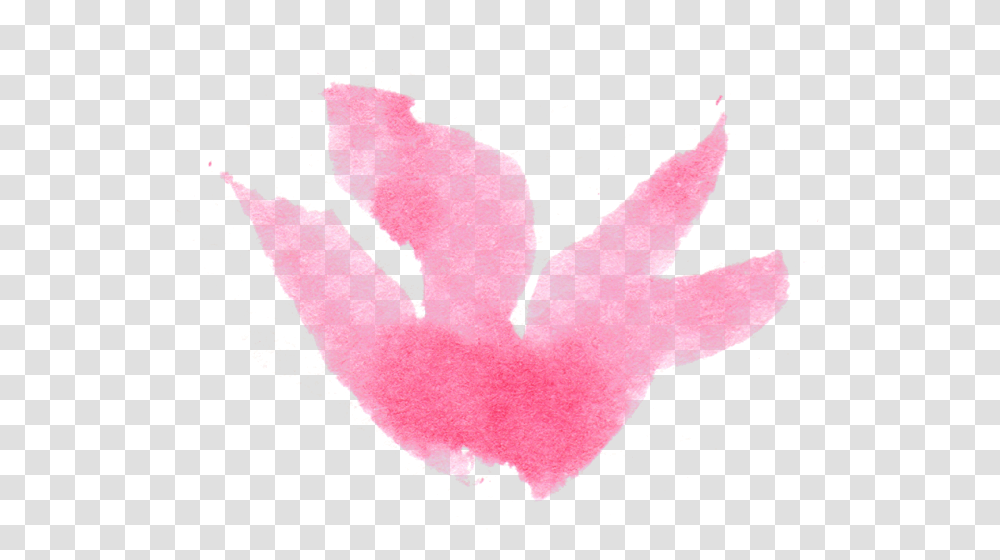 Maple, Hand, Apparel, Finger Transparent Png