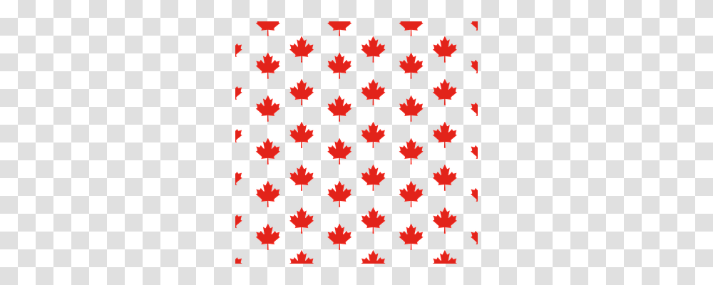 Maple Leaf Holiday, Rug, Star Symbol Transparent Png