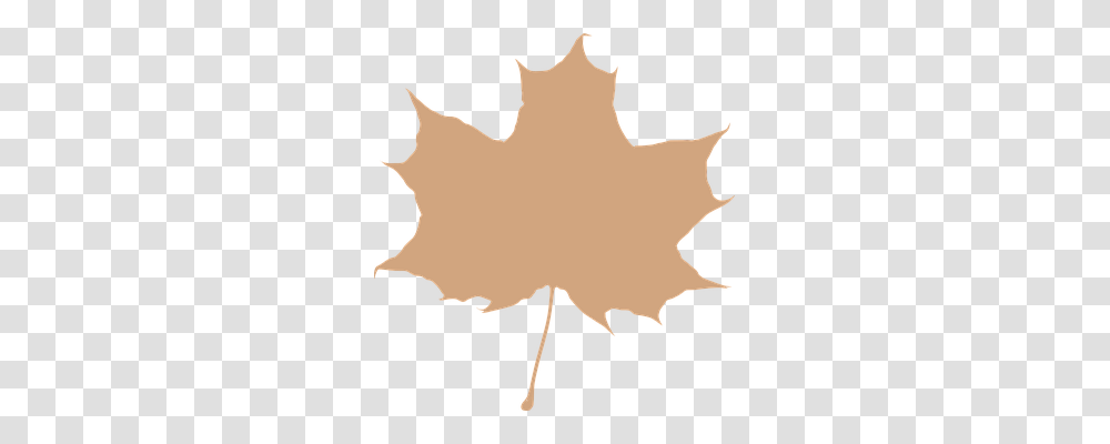 Maple Leaf Technology, Plant, Tree Transparent Png