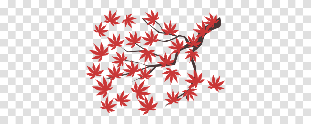 Maple Leaf Nature, Plant, Tree, Rug Transparent Png