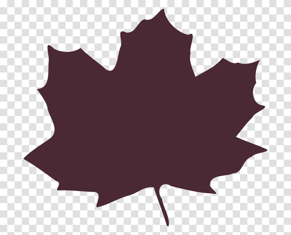 Maple Leaf Autumn Leaf Color, Plant, Tree, Person, Human Transparent Png