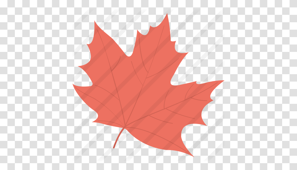 Maple Leaf Autumn Leaves Stickers, Plant, Tree, Person, Human Transparent Png