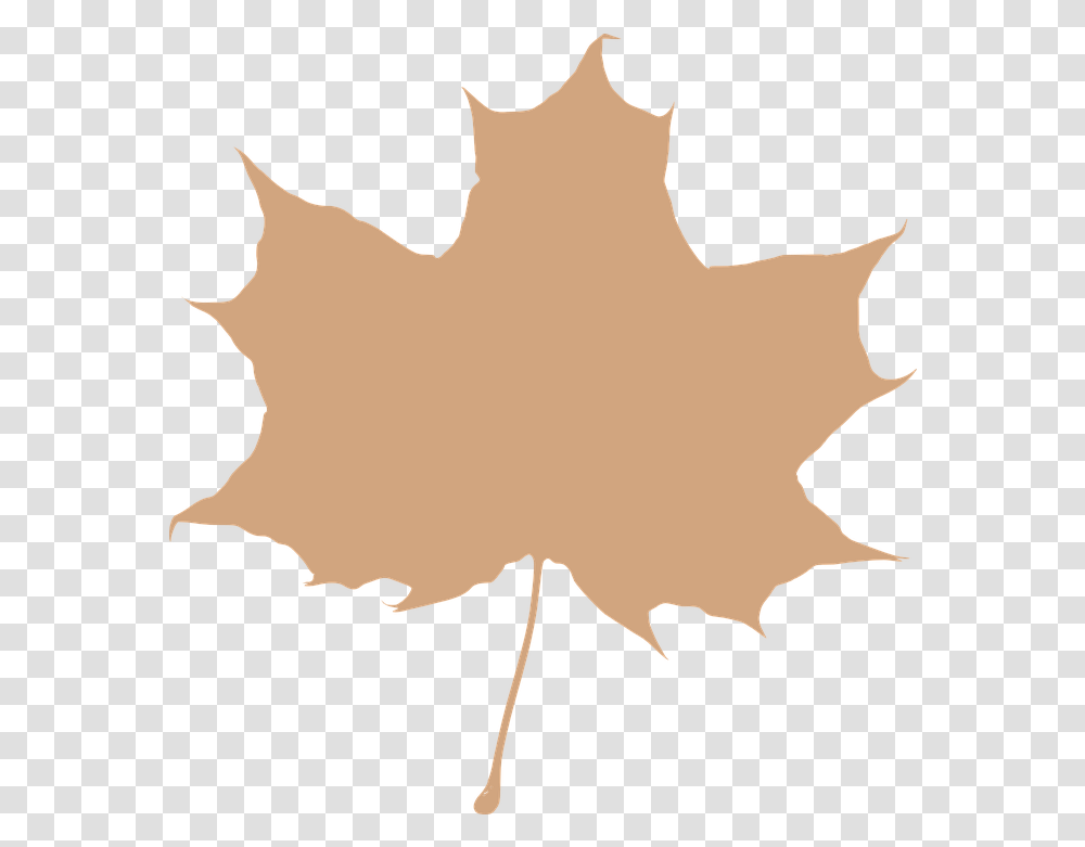 Maple Leaf Beige Silhouette Free Vector Graphic On Pixabay Maple Leaf Clip Art, Plant, Tree, Person, Human Transparent Png