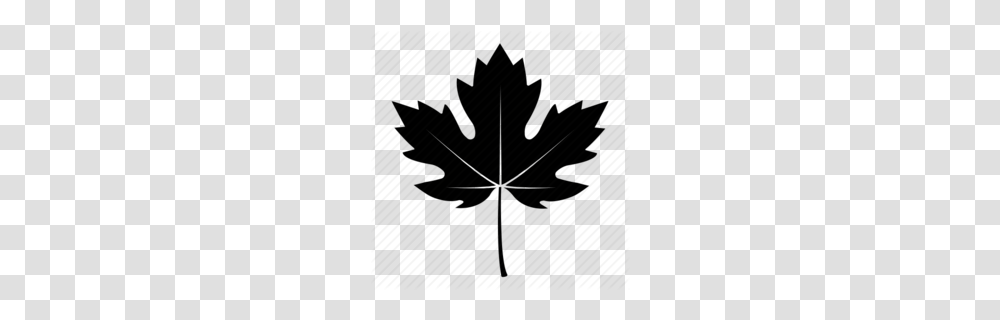 Maple Leaf Black And White Clipart, Plant Transparent Png