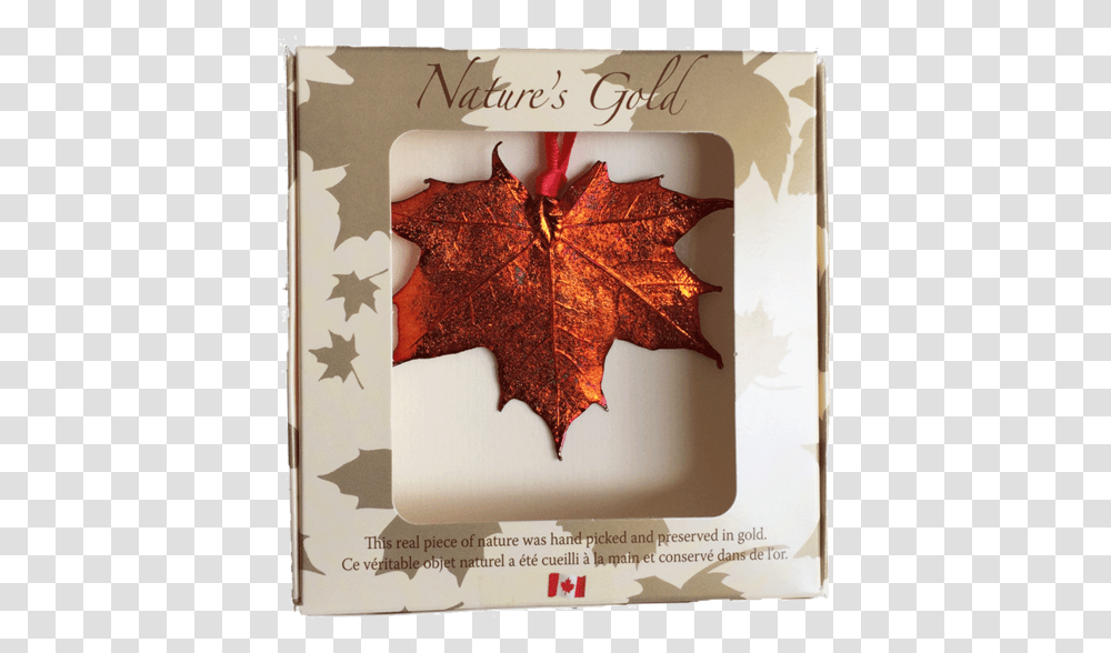 Maple Leaf Brooch Copper Made In Canada Gifts Gold Maple Leaf Pendant Canada, Plant, Tree, Poster, Advertisement Transparent Png