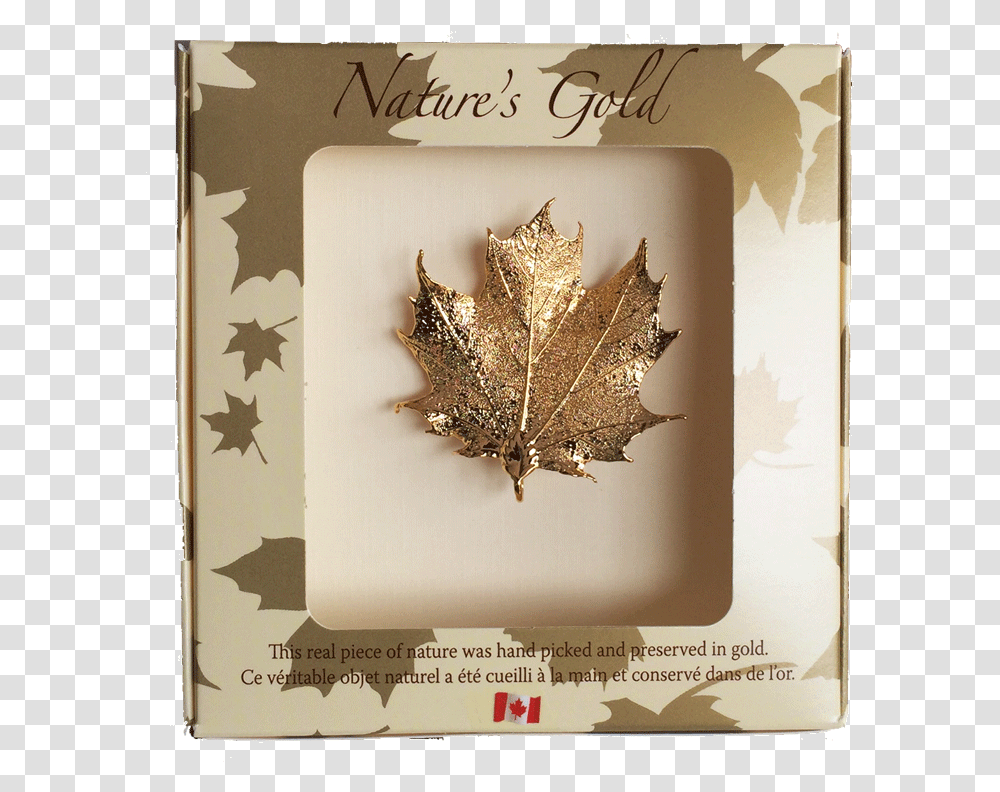 Maple Leaf Brooch Gold Brooch Canadian Maple Leaf, Plant, Tree, Spider, Invertebrate Transparent Png