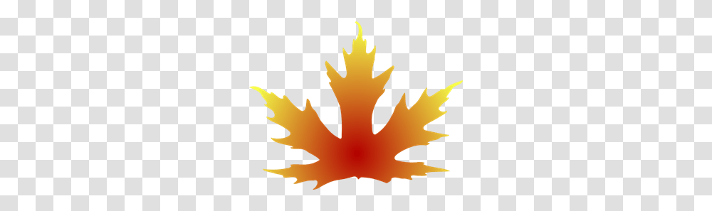 Maple Leaf Clip Art For Web, Plant, Tree, Poster, Advertisement Transparent Png