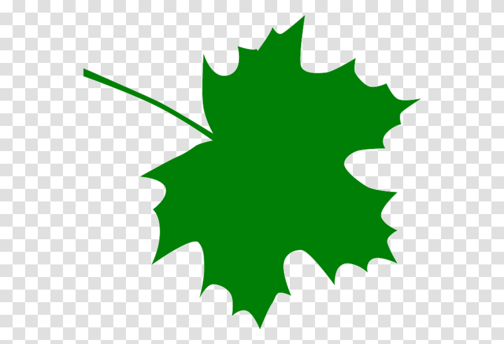 Maple Leaf Clip Art Free Clip Art, Plant, Tree, Person, Human Transparent Png