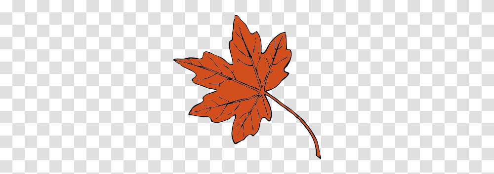 Maple Leaf Clip Art Leaves, Plant, Tree Transparent Png