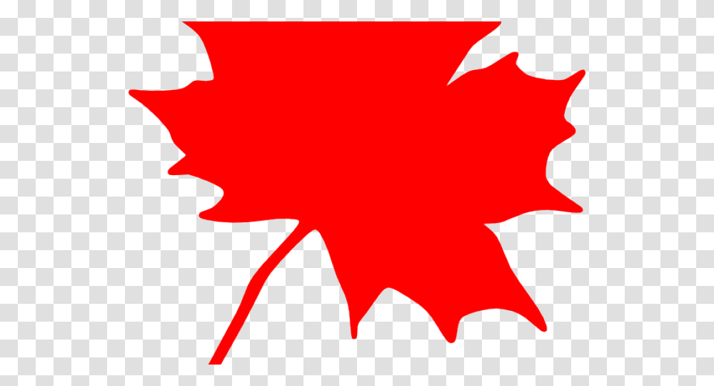 Maple Leaf Clip Art, Plant, Tree, Person, Human Transparent Png