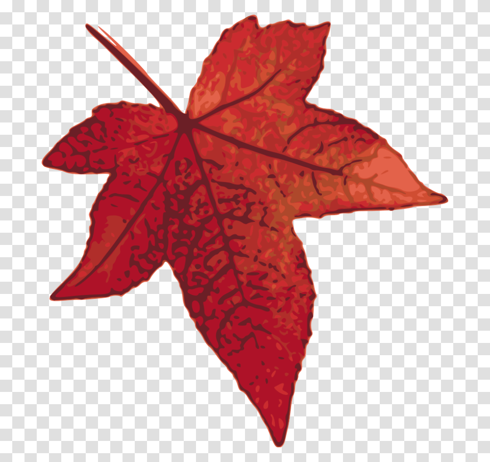 Maple Leaf Clip Art, Plant, Tree Transparent Png