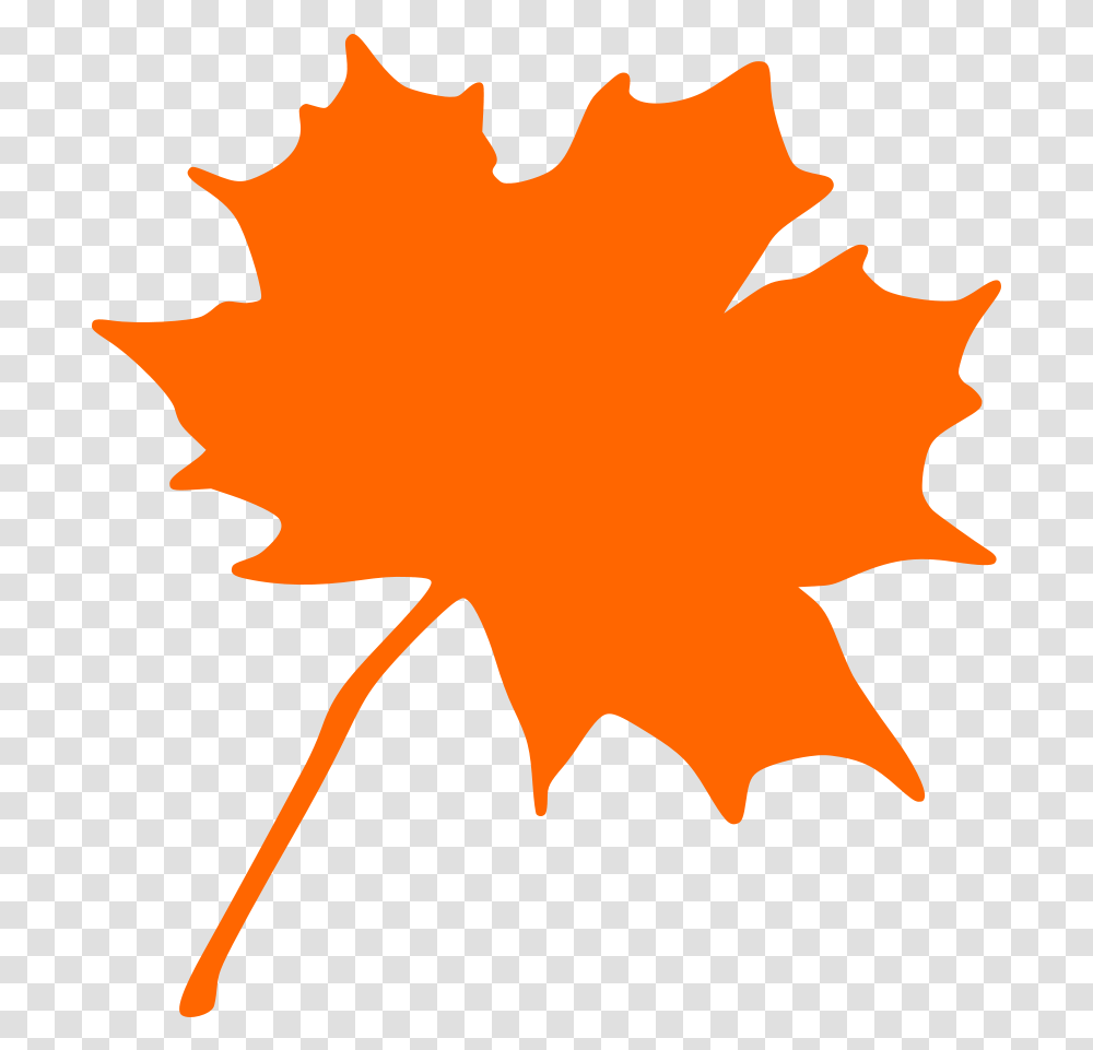 Maple Leaf Clip Arts For Web Maple Leaf Clip Art, Plant, Tree, Person, Human Transparent Png