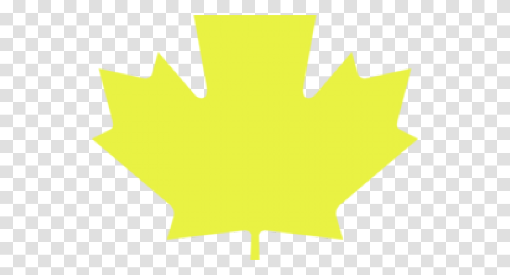 Maple Leaf Clipart 5 Leave Real North American Flag, Plant Transparent Png