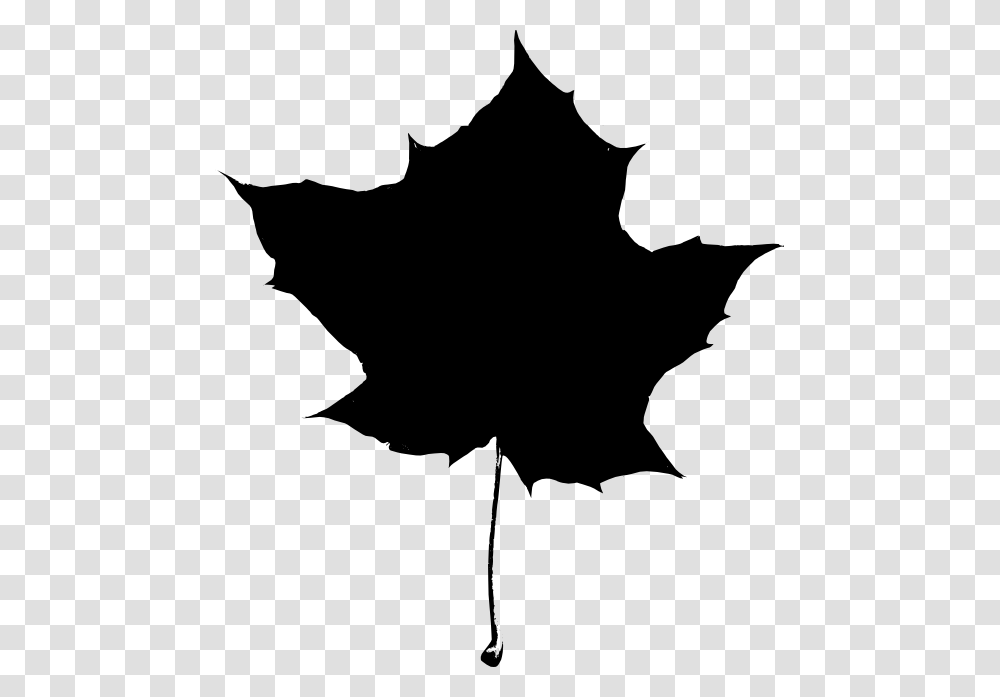 Maple Leaf Clipart Black And White, Plant, Tree, Person, Human Transparent Png