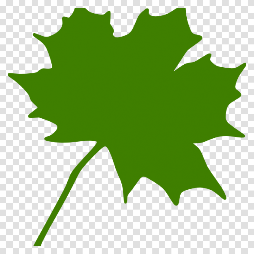 Maple Leaf Clipart Fall Clipart House Clipart Online Download, Plant, Tree, Person, Human Transparent Png