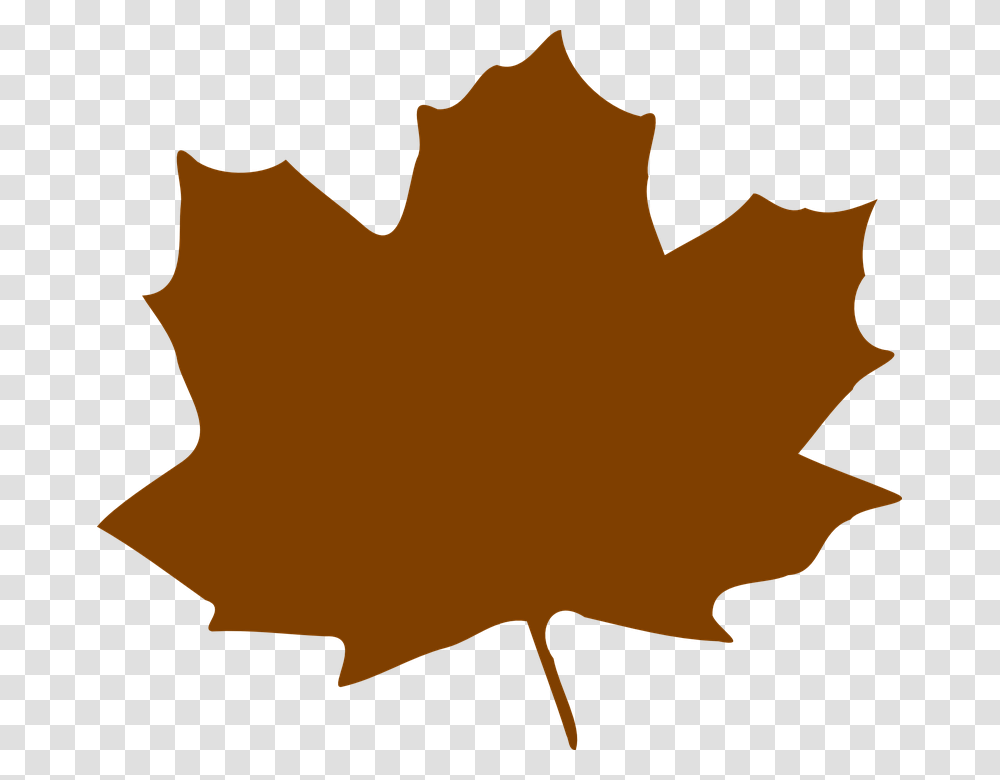 Maple Leaf Clipart Graphic, Plant, Tree, Person, Human Transparent Png