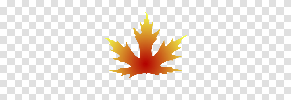 Maple Leaf Clipart Group With Items, Plant, Tree, Poster, Advertisement Transparent Png